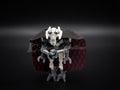Lego Star Wars General Grevious Dual Sided printed Cape